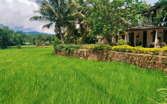 Nature valley homestay