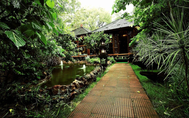 The Tree House Resort
