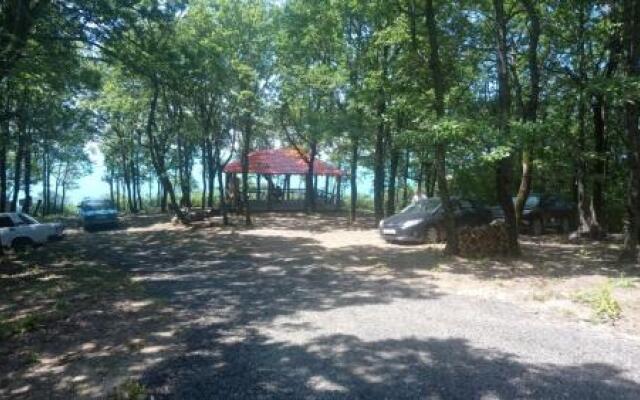 Camping Gorizont