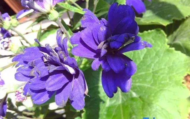 Dali Muli Inn (Ancient City Branch)