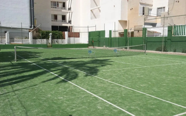 Palmeral de Torrevieja