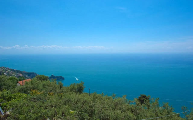 Sogno Blu