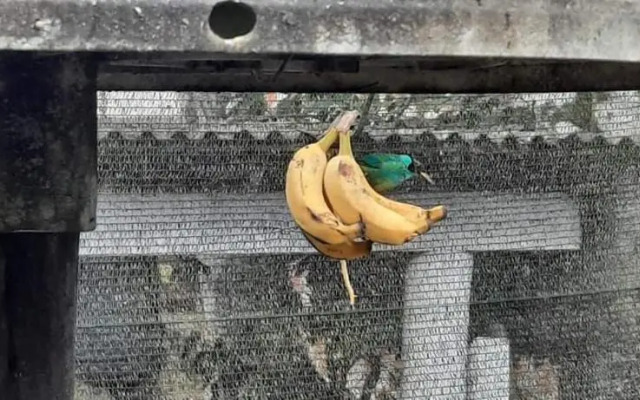 Quarto Suíte Itapoá - SC