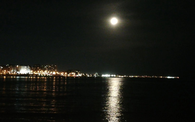 Private Room in Beautiful Home