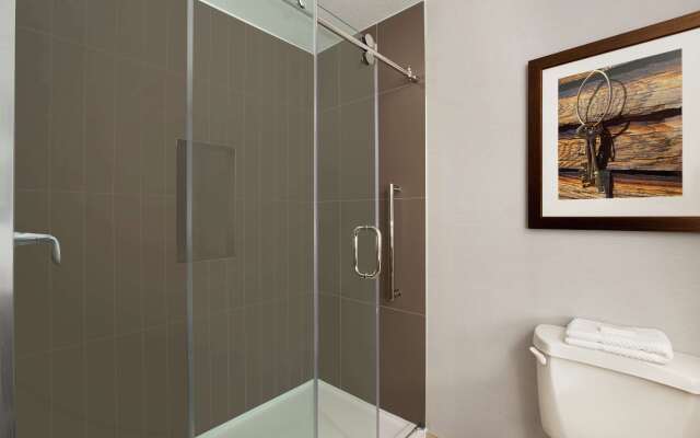 Embassy Suites by Hilton Dallas DFW Airport North