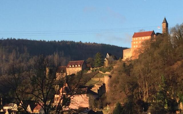 Romantisches Hirschhorn am Neckar