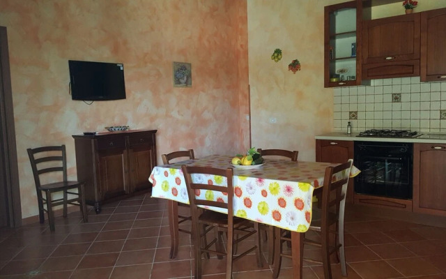 House surrounded by olive trees