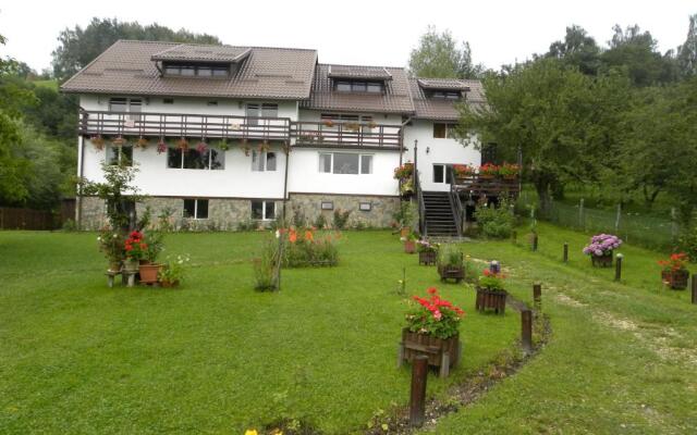 Pensiunea Cerbul Carpatin