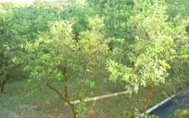 Guest House Shekvetili