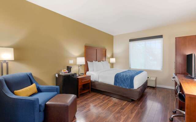 Comfort Inn & Suites near Ontario Airport