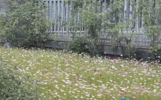 Great Sojourn｜Urban Garden Hotel of Ya'an