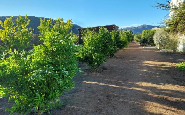 Callihue de Colchagua Lodge