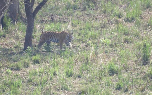 Chital Lodge