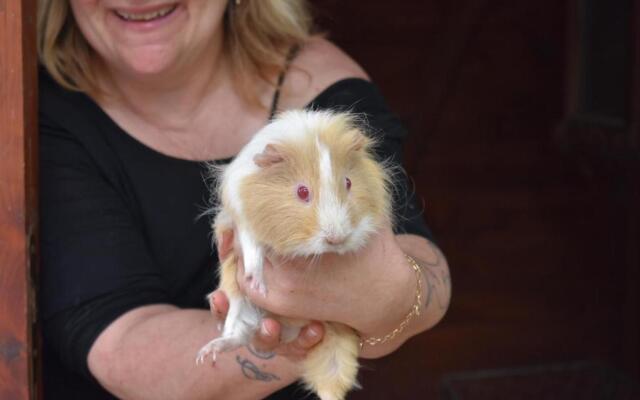 fattoria country village