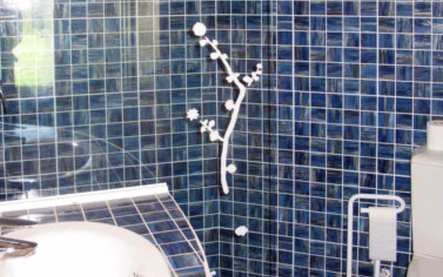 Baie de Bandol (SAY110)