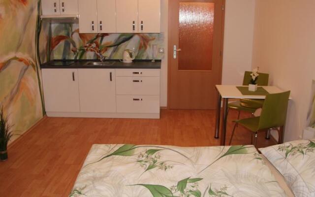 Art Apartments Třeboň