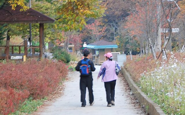 Mignons Forest Pension