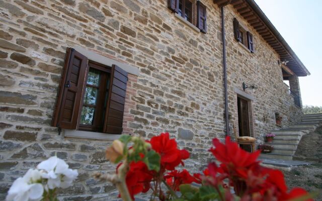 Lovely Holiday home in Apecchio with Pool