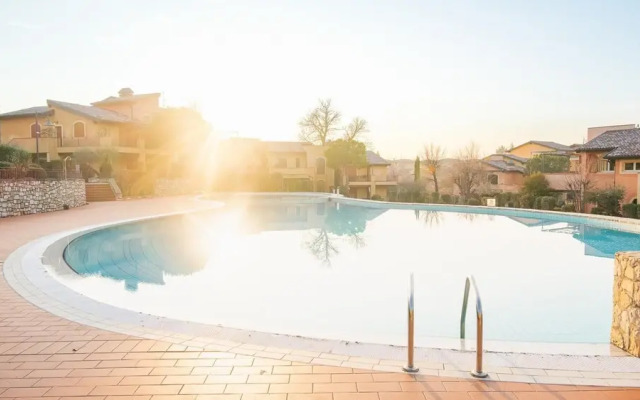 Donna Eloisa - Italian Homing