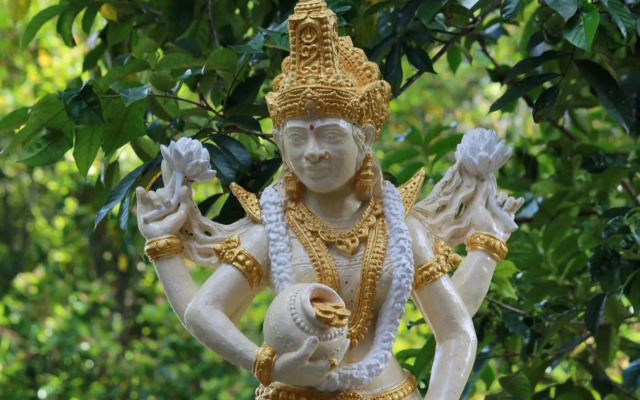 Umah De Madya