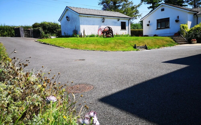 Ael Y Bryn Bed and Breakfast