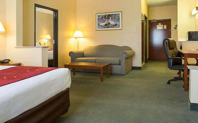 Comfort Suites La Porte