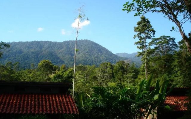 Selva Bananito Lodge