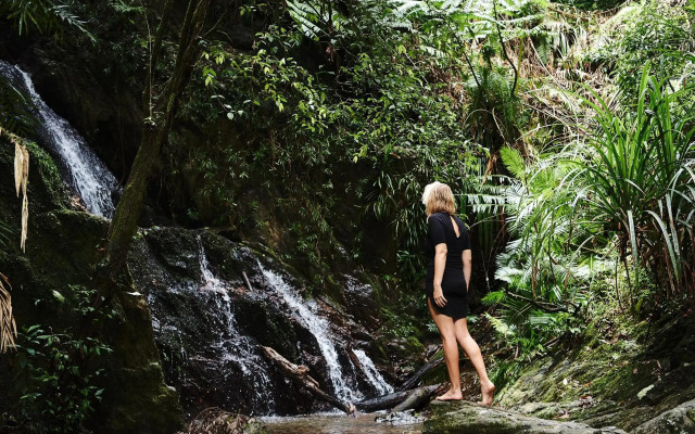 Daintree Ecolodge