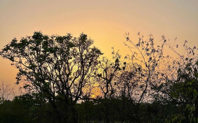 The Postcard Gir Wildlife Sanctuary