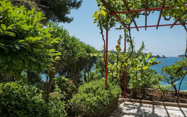 An Apartment Kamelia