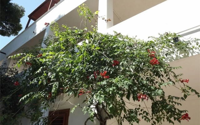 Residenza Collina dei Pini