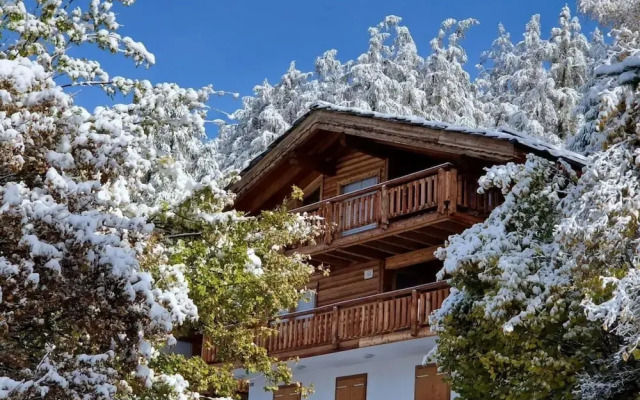Spacious Chalet With Patio Facing Mountains