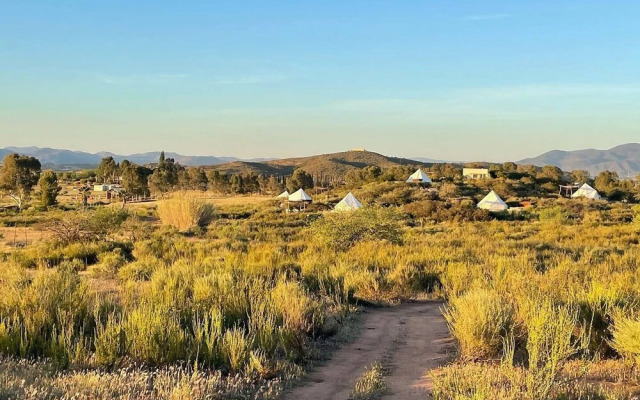 Ally Glamping