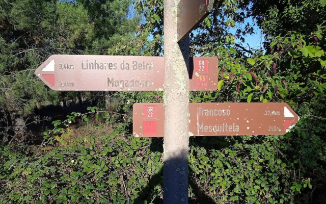 Rustic Terrace2 Bedrooms Farm House