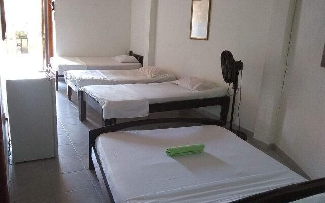 Hostal Eco Point Minca - Hostel