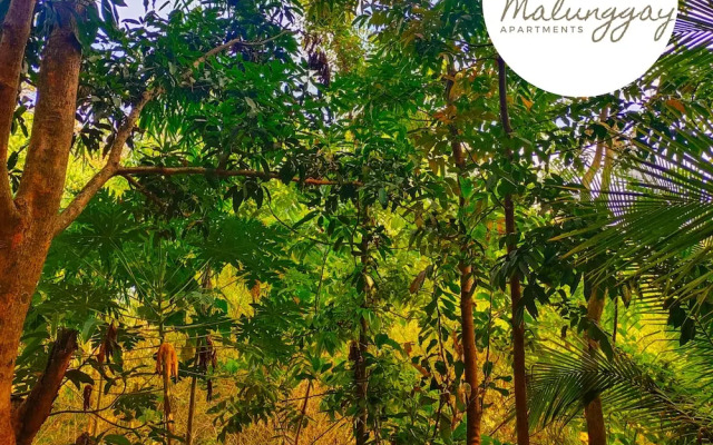Malunggay Apartments