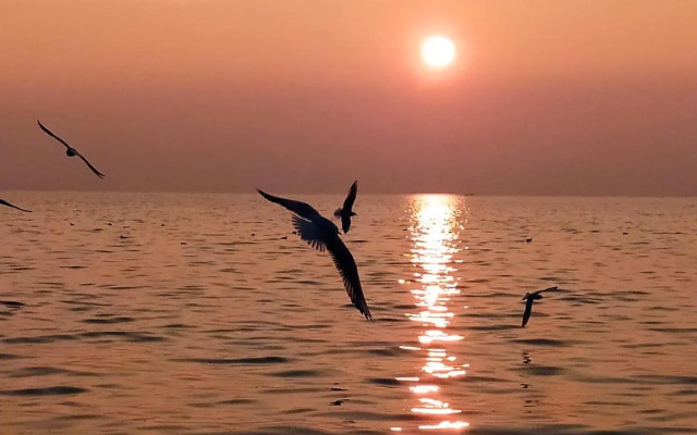 Appartamento La Scaletta