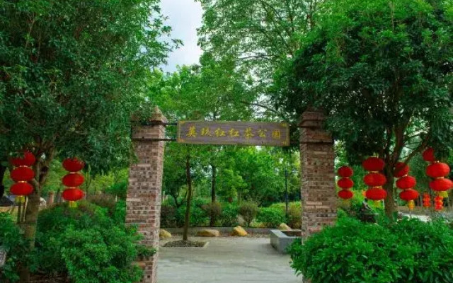 Yingjiuhong Black Tea Theme Hotel