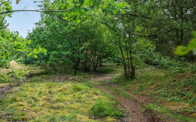 "Zeqir" - 2.7km from the sea in Western Jutland