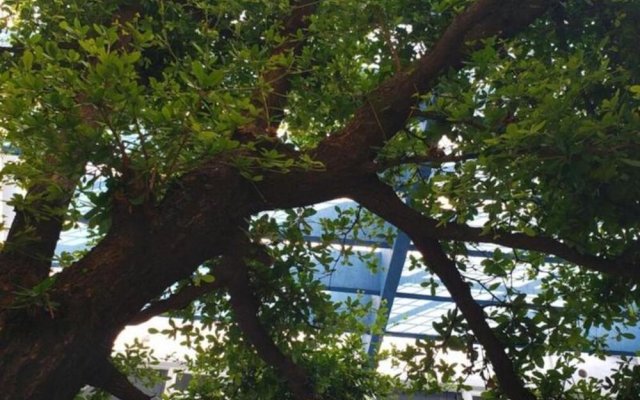 El Gran Hostal - Bed in 8 People Dorm 6