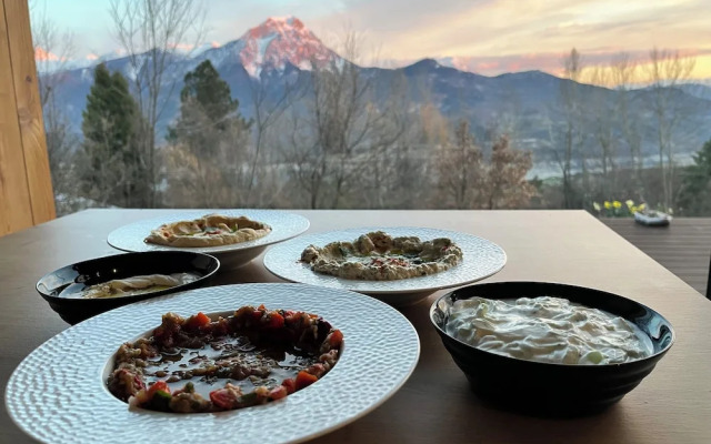 Les balcons de saint apollinaire
