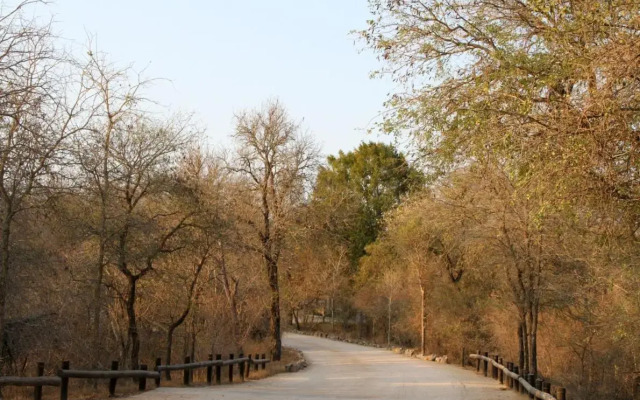 Burchells Bush Lodge