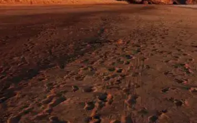 Waitakere Ranges Bed & Breakfast