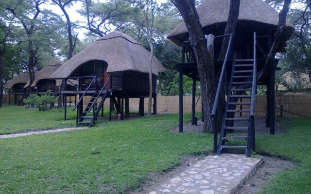 The Tree Lodge at Sikumi