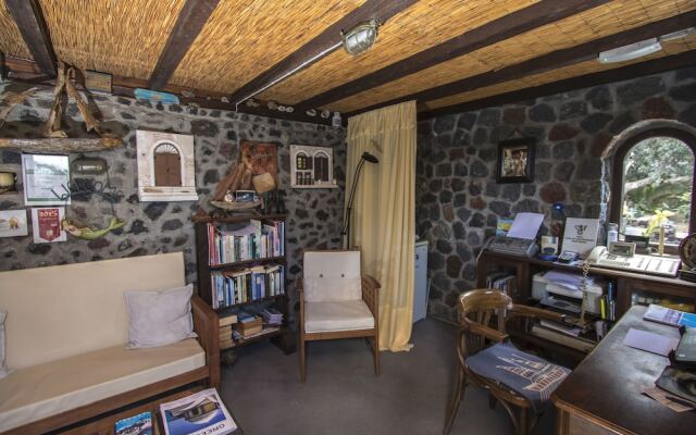 Ecoxenia Studios