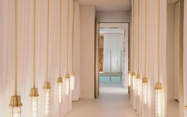 Brach Madrid - Evok Collection