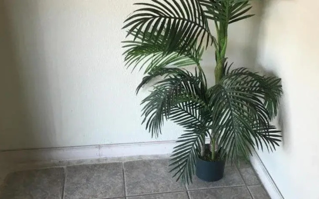 Best Value Inn Motel Sandusky