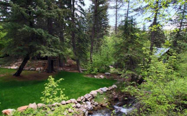 Treehouse On The Stream