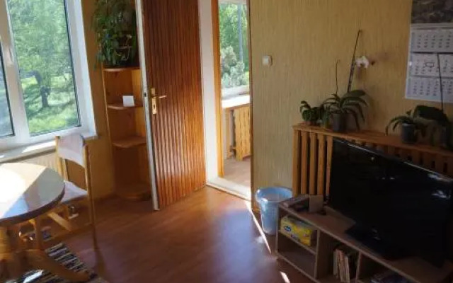 VIIVE KONI Home Accommodation