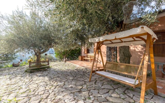 Rocca di Mezzogiorno - Tea